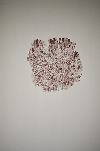 expositions | je-me-souviens | &copy; patrice de Santa Coloma